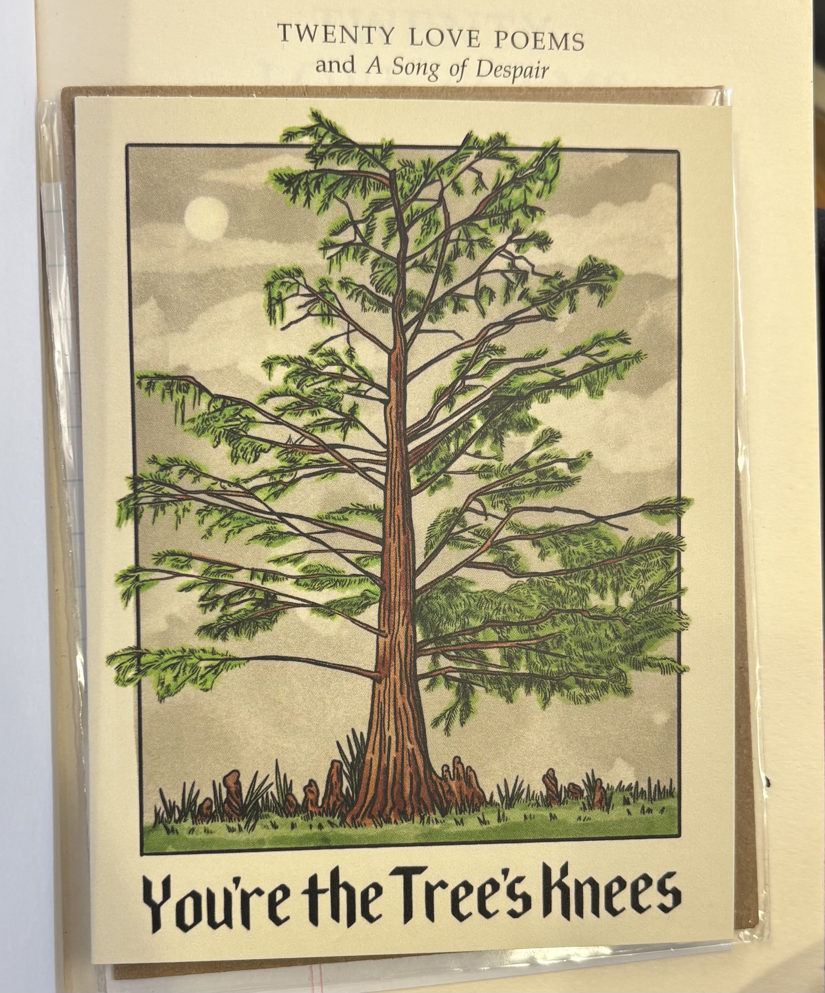 Tree silhouette at dusk